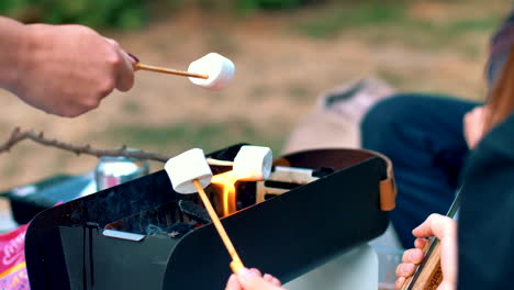 roasting marshmallows with friends in the park on a summer day