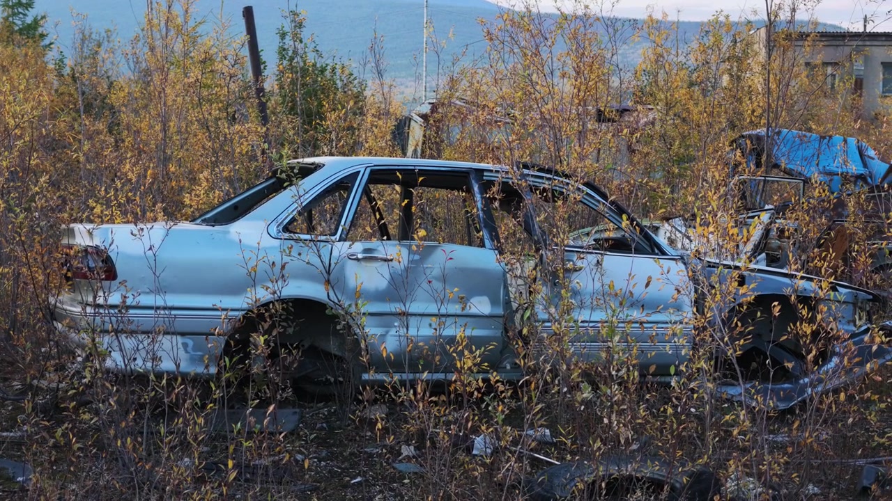 Un sedán plateado sin ventanas, con óxido visible, yace abandonado entre maleza seca y amarillenta, rodeado de escombros dispersos y vegetación crecida