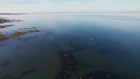 Reef-Exposed-In-Arcachon-Bay-During-Low-Tide-In-Gujan-Mestras,-France