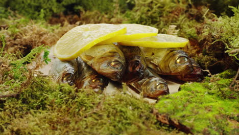 smoked fish with lemon on moss
