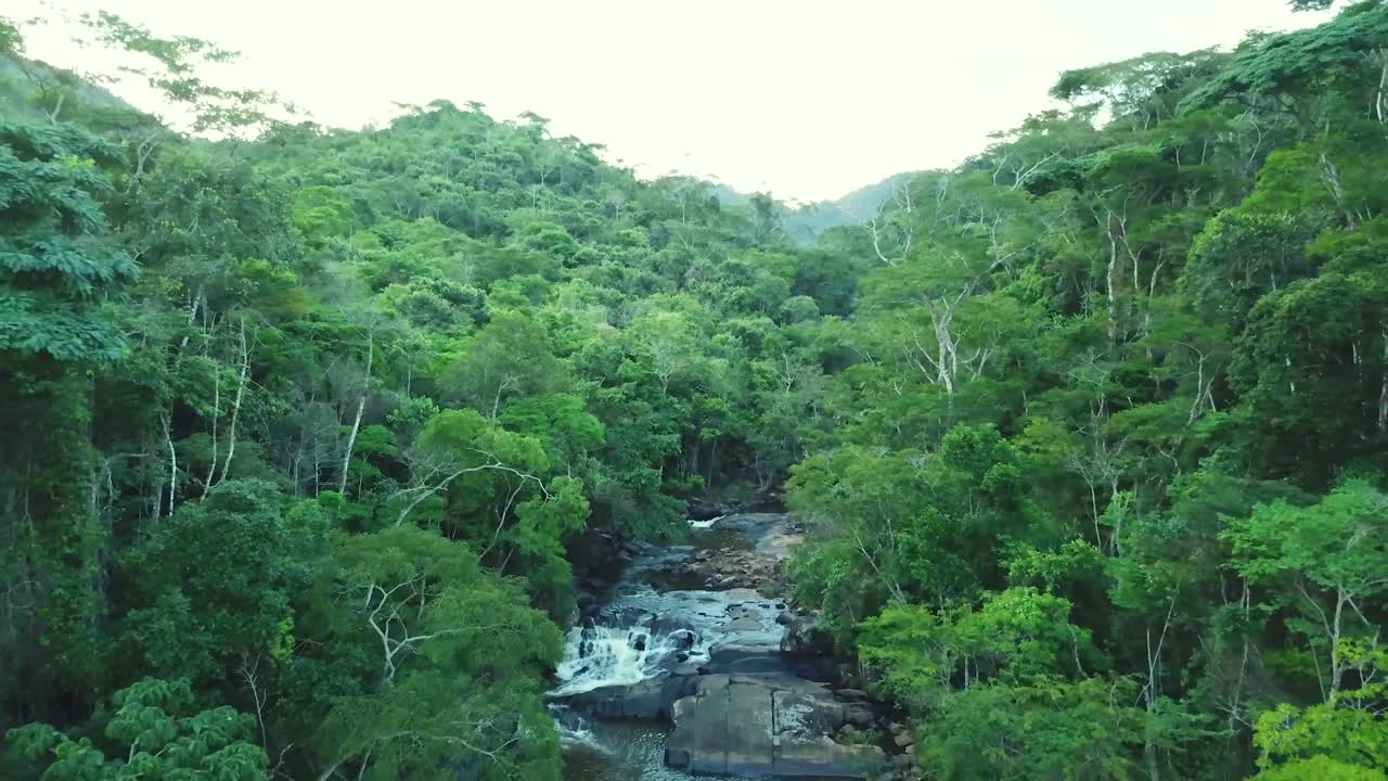 Rapida ripresa aerea che rivela una spettacolare foresta pluviale e una grande cascata in Brasile.