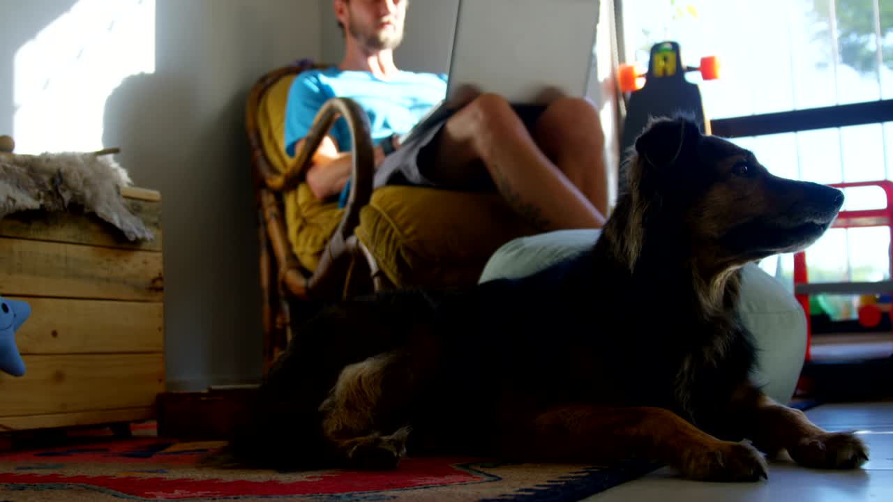 노트북 4k를 사용하는 개와 함께 한 남자