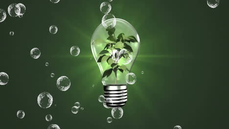 plant growing inside light bulb with floating bubbles, eco-friendly energy animation