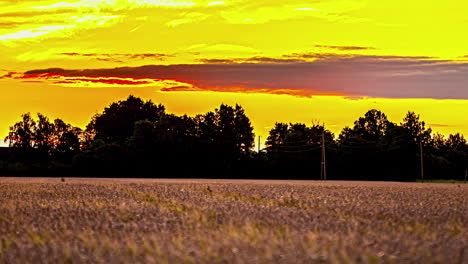 Sonnenaufgang-Im-Zeitraffer,-Sonnenaufgang-Im-Grasland-Lavendelfeld,-Gelber,-Leuchtend-Orangefarbener-Himmel,-Farbige-Wolken,-Sonniger-Morgen-Zeitraffer