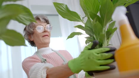 mujer anciana jardinería