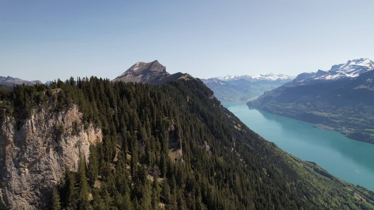 Drone view of a forested ridge with rocky cliffs and Lake Brienz in the Swiss Alps under clear blue sky