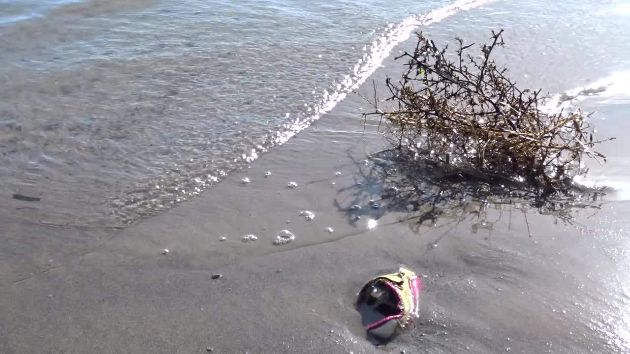 우리 행성의 바다와 물 시스템의 심각한 오염 특성을 보여주는 스틸 샷