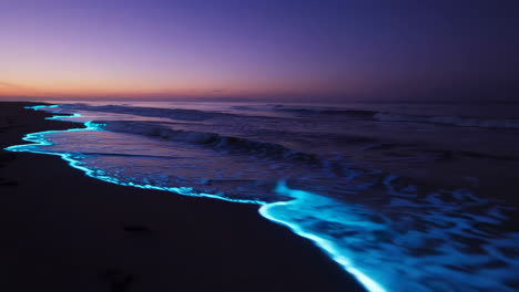 bioluminescent waves on a dark beach at night
