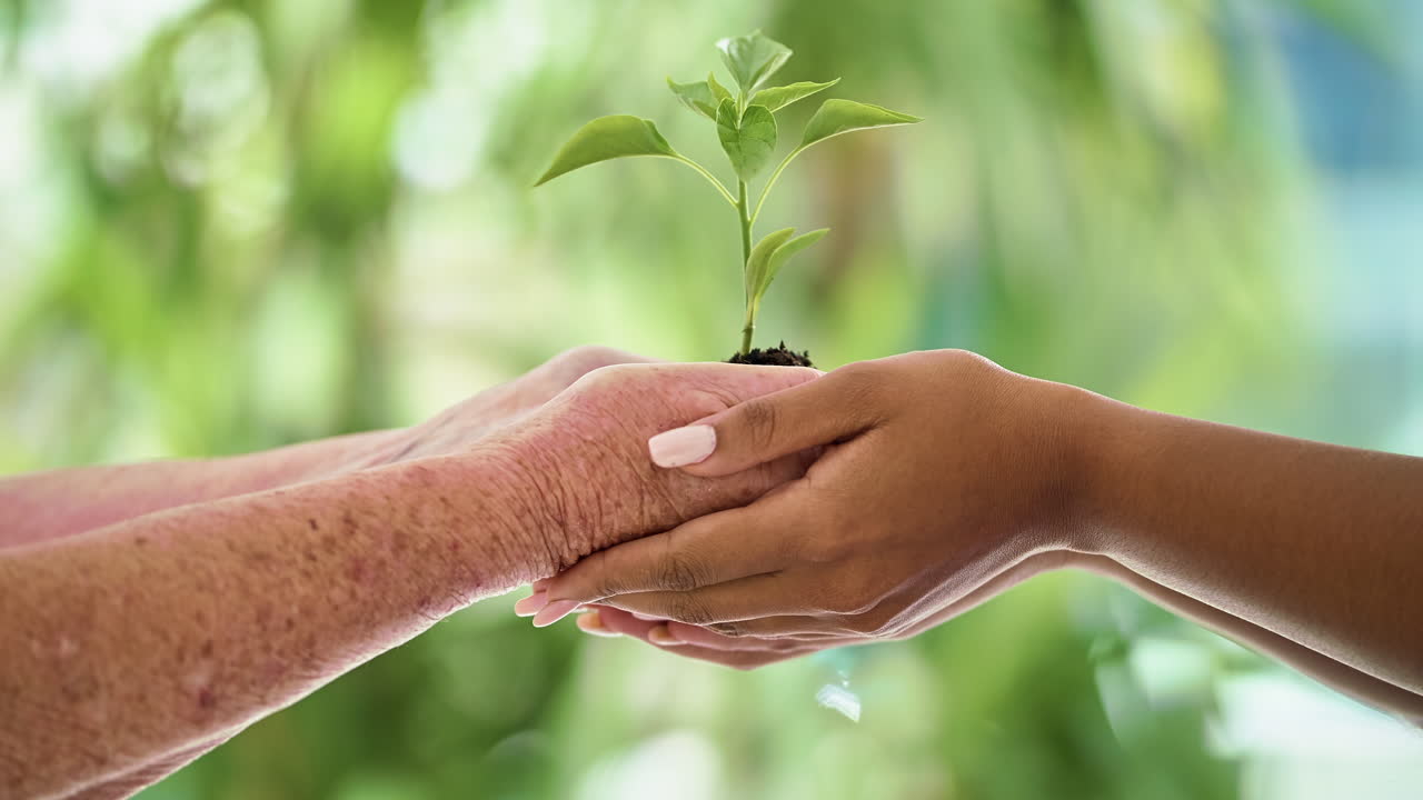 para las generaciones futuras