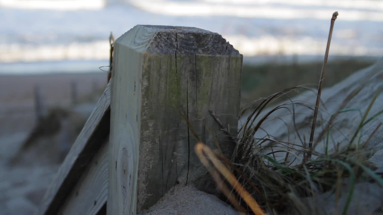 Træpæl på stranden
