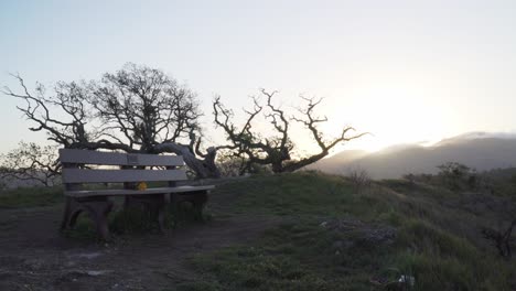 Tiro-De-Pedestal-Suave-De-Un-Banco-Solitario-En-La-Cima-De-Algunas-Colinas-Verdes-De-California-En-Una-Mañana-Sombría