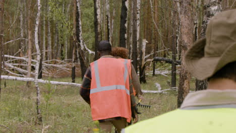 Vista-Trasera-De-Un-Grupo-De-Activistas-Ecologistas-Multiétnicos-Caminando-En-El-Bosque-Mientras-Sostienen-Herramientas-Y-árboles-Pequeños