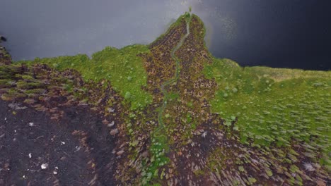 Damage-Forest-With-Trees-Burned-After-Wildfire-In-Lebel-sur-Quévillon,-Quebec-Canada