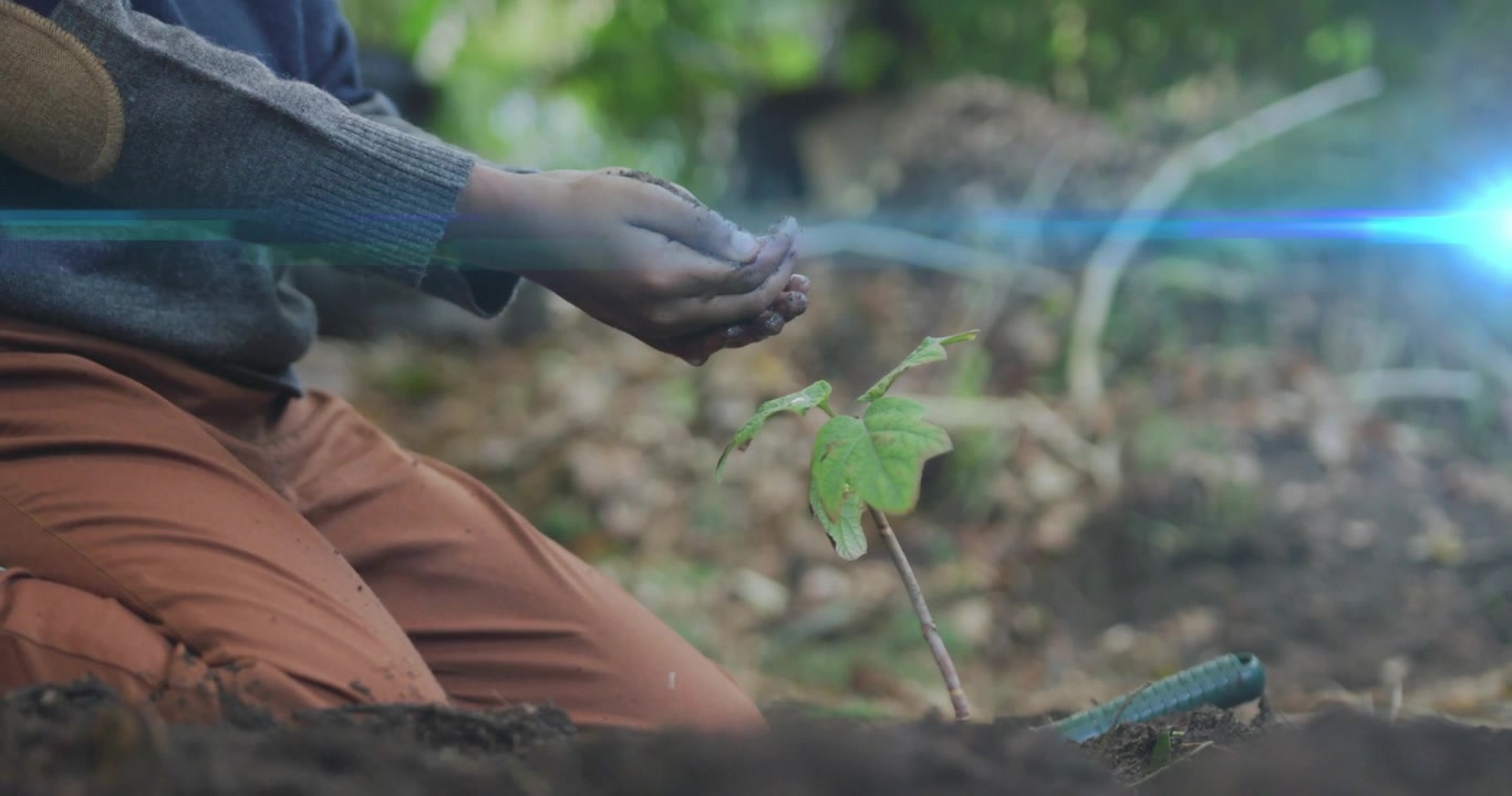 Boy cupping hands under hidden water source and pouring droplets onto sapling for reforestation