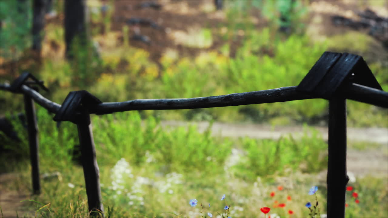 травяные поля и лесные деревья