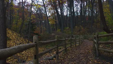 wide shot of empty meandering trail path in fall setting with light snow falling