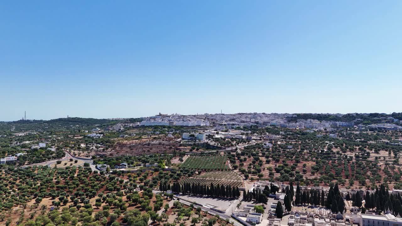 Green olive tree plantation and Ostuni cityscape of Italy, aerial view