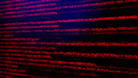 closeup of developer browsing html code on the computer screen loop animation html web page code