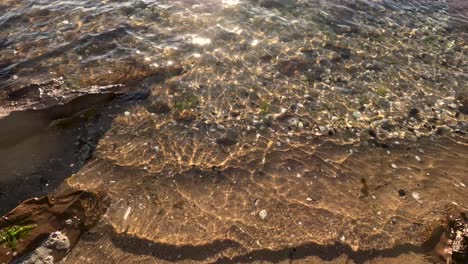 waves washing over sandy beach with seaweed