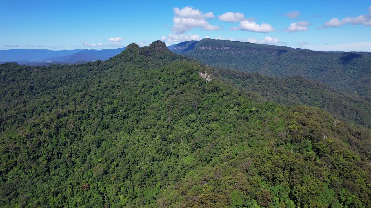 vista aérea sobre la vegetación verde y exuberante en el valle de currumbin en queensland, australia - órbita de avión no tripulado
