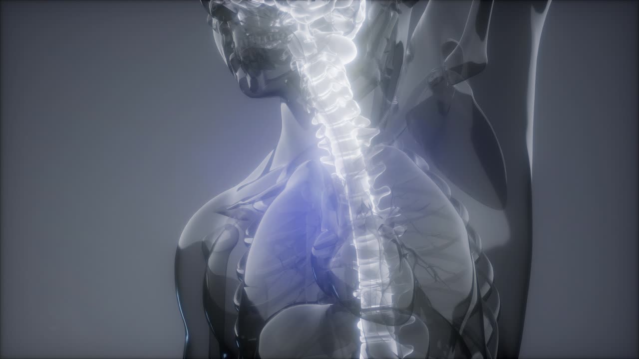 dolor de espalda en los huesos de la espalda