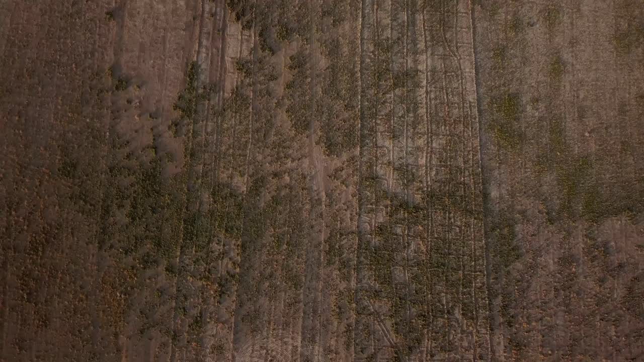 patrón de campo de granja del desierto en vista aérea drone disparado en la temporada de verano lado de la playa del lago salado en irán sequía clima falta de agua tierra abandonada jardinería riego agricultura tradicional de lluvia