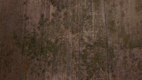 Patrón-De-Campo-De-Granja-Desértica-En-Vista-Aérea-Drone-Disparado-En-Temporada-De-Verano-Playa-Junto-Al-Lago-Salado-En-Irán-Sequía-Clima-Falta-De-Agua-Tierra-Abandonada-Jardinería-Riego-Agricultura-Tradicional-De-Secano