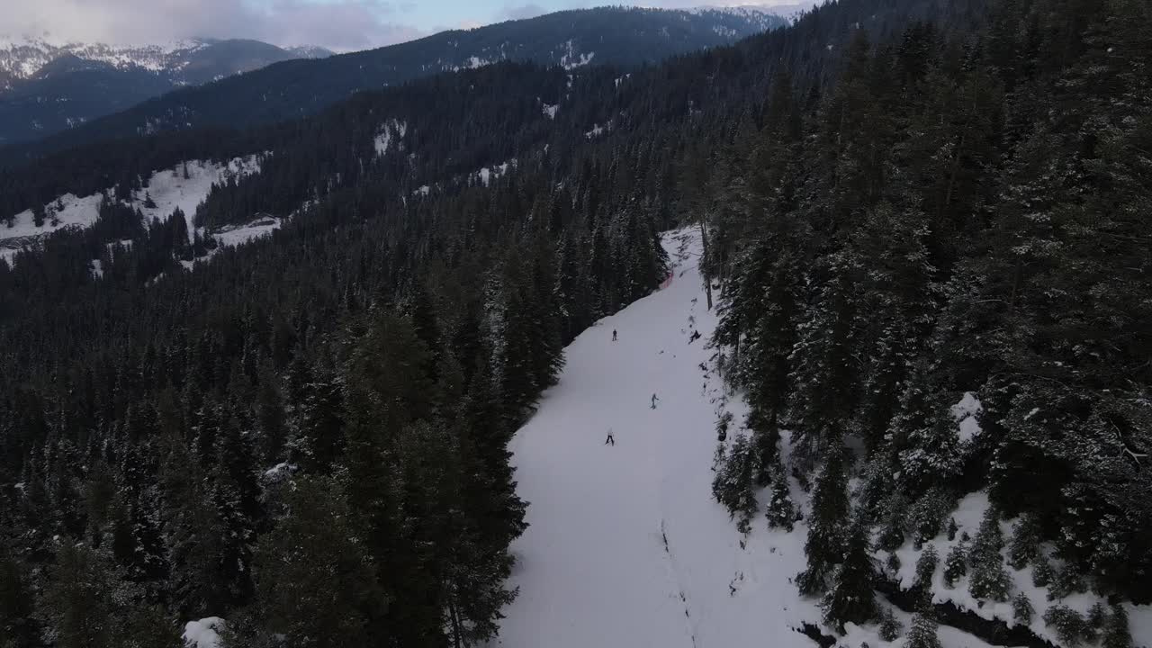 Pista da sci nella foresta innevata