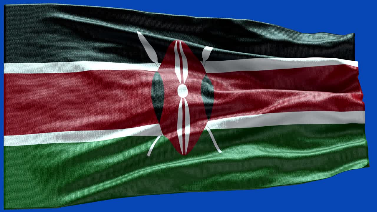 케냐의 발 - 케냐 발 높은 세부 사항 - 국가 발 케냐 파동 패턴 loopable 요소