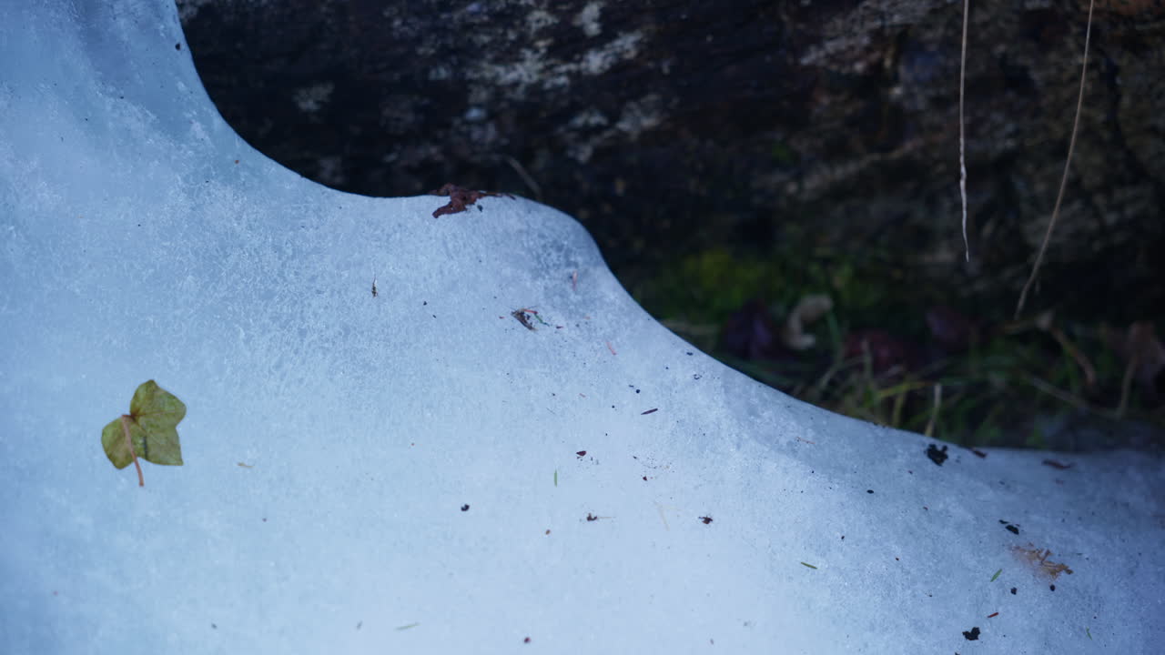Ice melting close to the rock and the grass starts to come through the ice