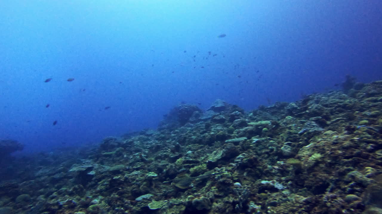 He looks like he's in a hurry