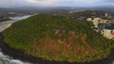 Densa-Vegetación-En-El-Parque-Nacional-Burleigh-Heads-En-El-Estado-Australiano-De-Queensland