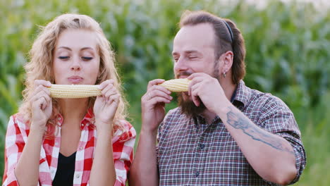 Two-funny-farmers-gnawing-corn-in-the-field-having-fun