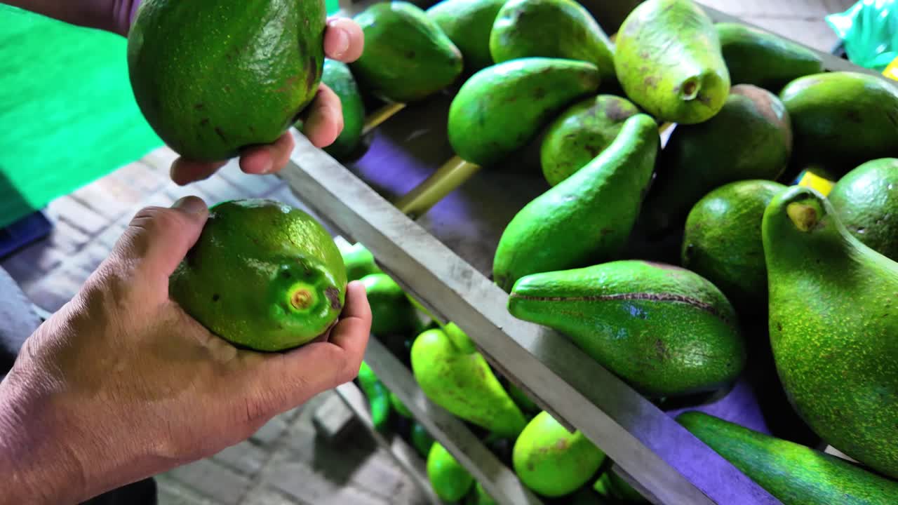 A man buying avocados at the local market.
