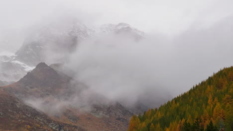 Moody-gray-Swiss-alps-mountain-peaks-colorful-yellow-autumn-fall-Lark-tree-Saas-Fee-Zermatt-Saastal-alpine-valley-Switzerland-dramatic-foggy-grey-gray-mist-rainy-day-static-shot