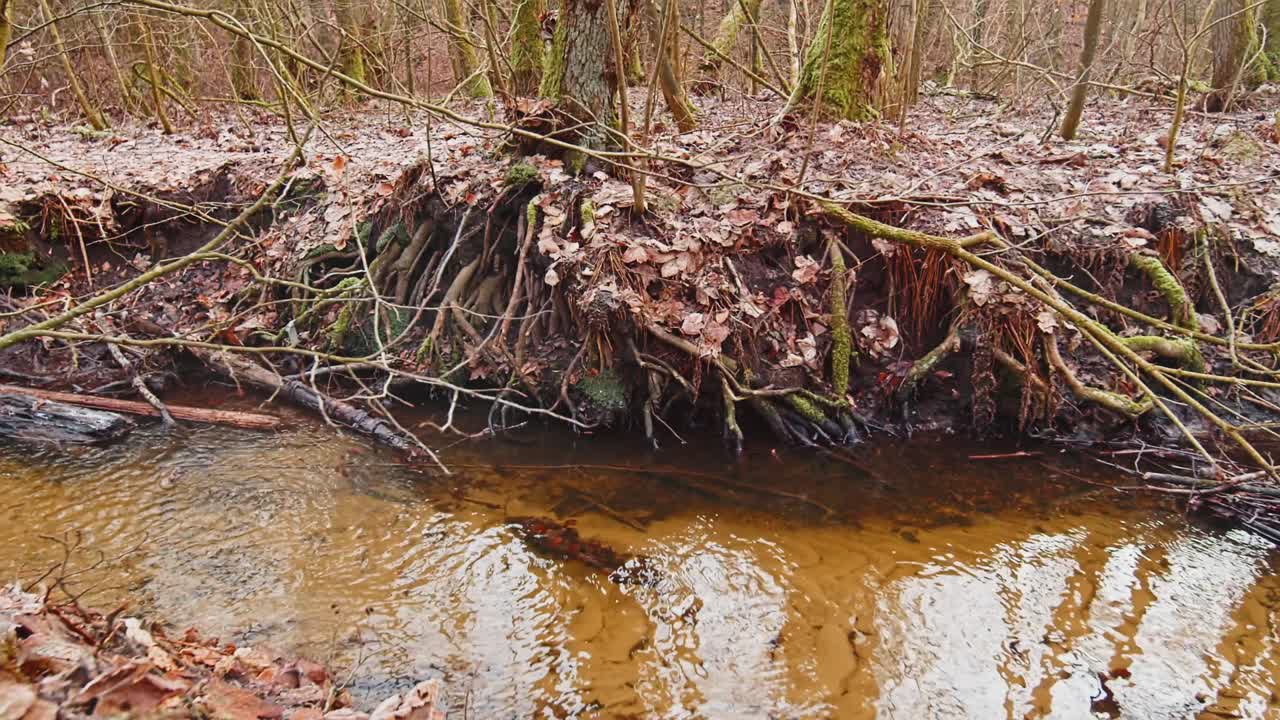 el río en el bosque de otoño y el sol brillando a través del follaje