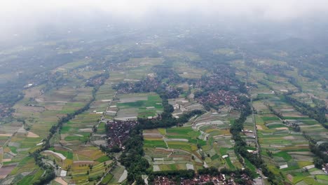 green rural landscape of rice fields and towns in indonesia, aerial view