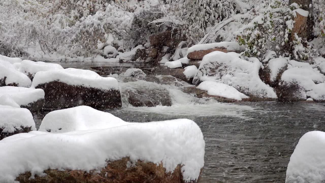 볼더 크릭, 볼더, 콜로라도에서 슬로우 모션으로 떨어지는 눈