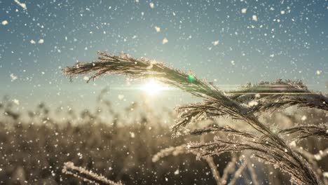 bright sunny landscape with snow falling snow and a small house in the forest, cinemagraph, video loop