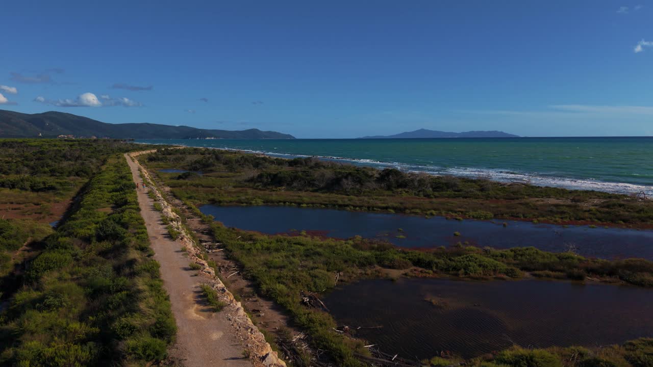 Warm summer mood at the Maremma coast with pine forests, sand and blue sea horizon. Tuscany aerial