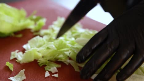 el corte de la lechuga