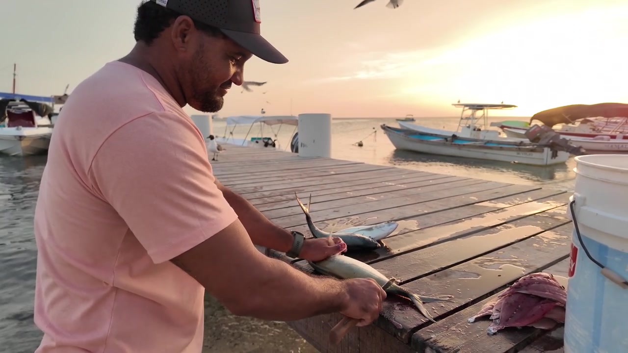 Autentiche attività di pesca in località costiere. Gabbiani sono visibili sullo sfondo, attratti dalla preparazione del pesce