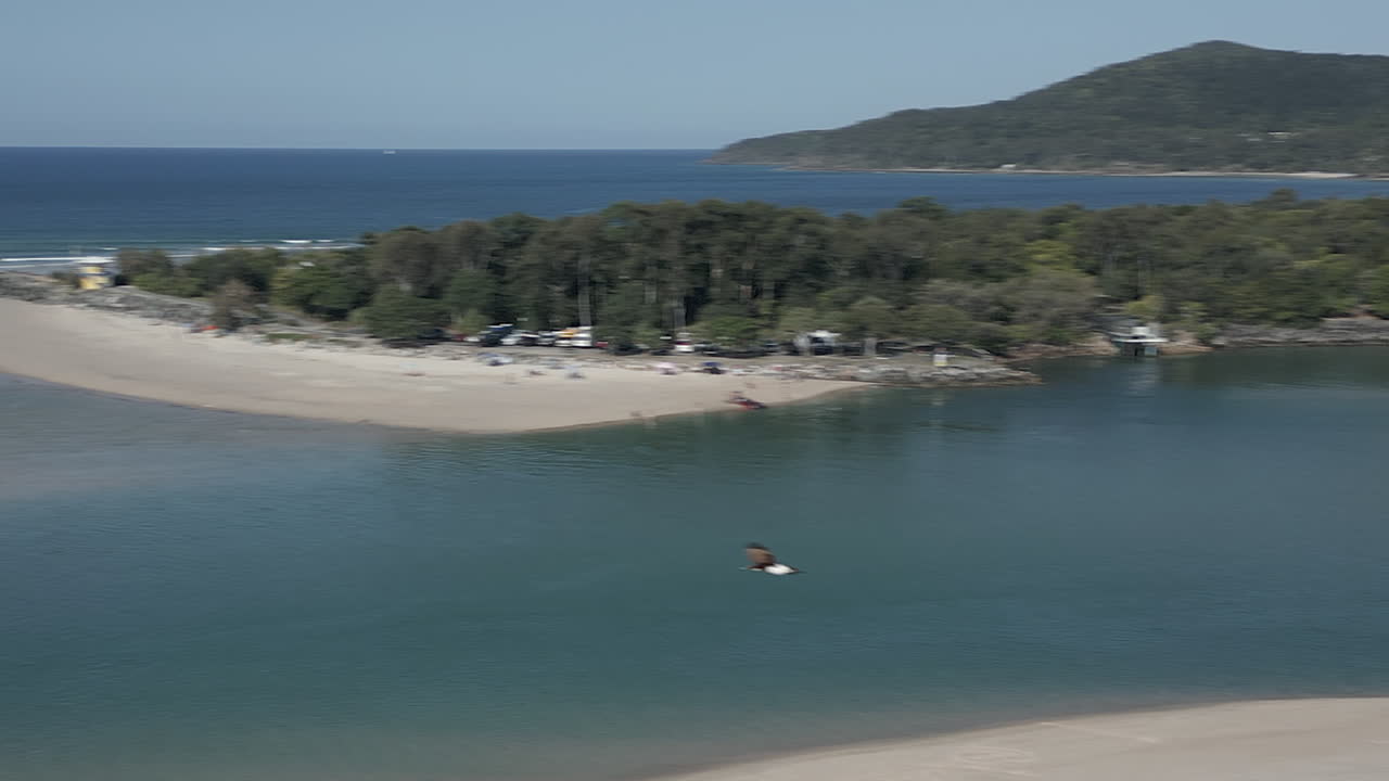 오스트레일리아 의 공중 카메라 에 날아다니는  ⁇  배 의 바다 독수리