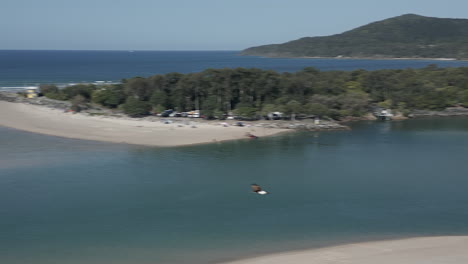 white-bellied sea eagle swoops, flies to aerial camera in australia