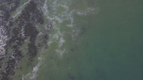 dramatic aerial of surfing along coast in south africa