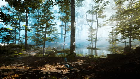 Panoramablick-Auf-Den-Majestätischen-Wald-Im-Morgennebel