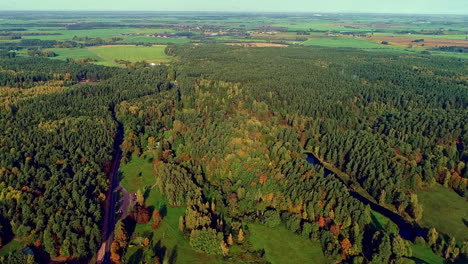 Luftüberführung-Bunter-Waldwald-Mit-Unterschiedlichen-Farben