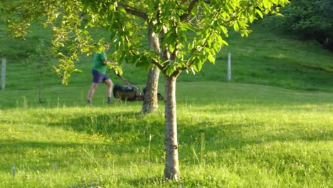 Man trimming his meadow with rotary hand pushed mower at sunset