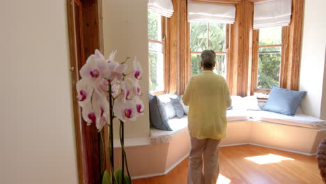 Happy-senior-biracial-woman-walking-and-sitting-on-couch-and-drinking-tea-at-home,-slow-motion