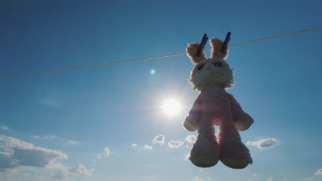 plush rabbit hanging on a rope dried in the sun 4k video